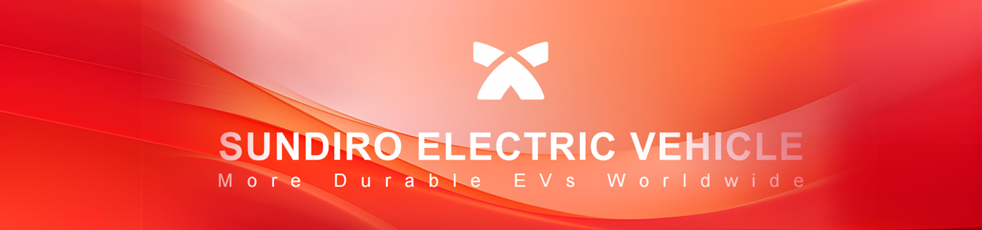 Electric Motor